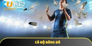 cá độ bóng đá