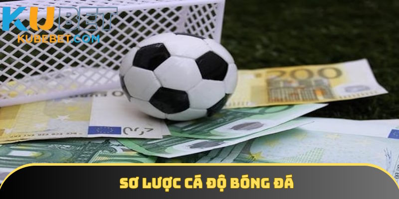 Thông tin định nghĩa cá độ bóng đá