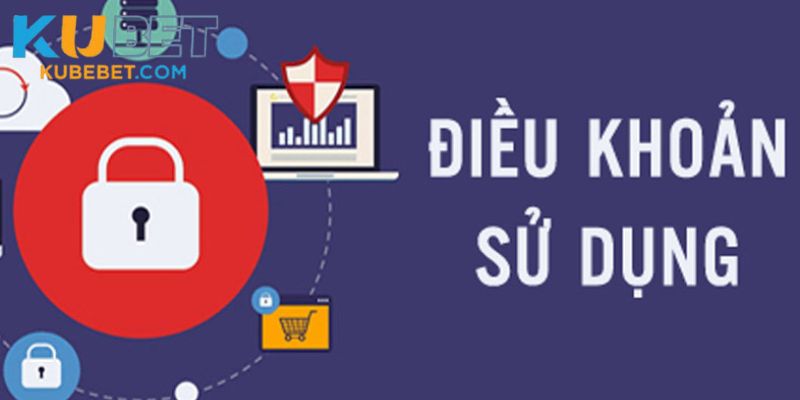 Những lưu ý quan trọng trong điều khoản & điều kiện